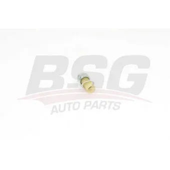 Indicateur de pression d'huile BSG BSG 75-840-002