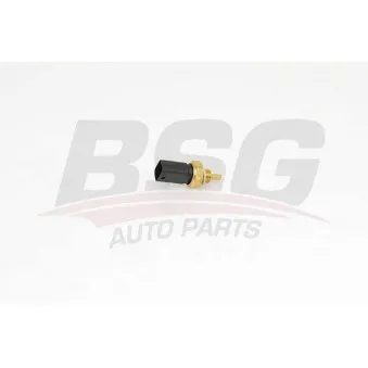 Sonde de température, liquide de refroidissement BSG BSG 75-840-009
