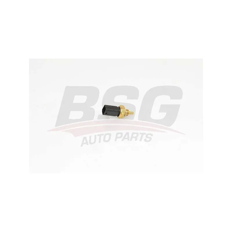 Sonde de température, liquide de refroidissement BSG BSG 75-840-009