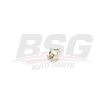 Thermostat d'eau BSG BSG 90-125-002