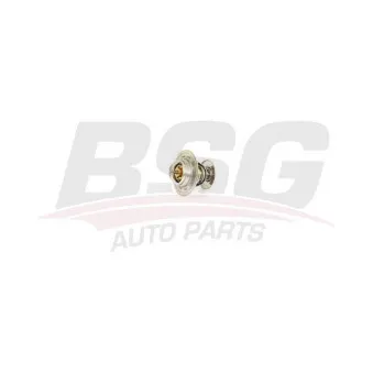 Thermostat d'eau BSG BSG 90-125-003