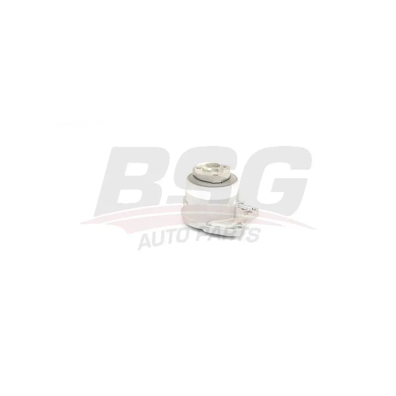 Pompe à eau BSG BSG 90-500-026