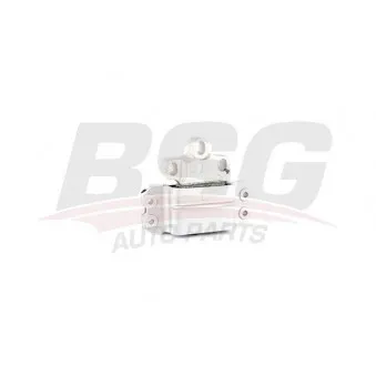 Gaine de suralimentation BSG BSG 90-720-164