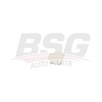 Verre de rétroviseur, rétroviseur extérieur BSG BSG 90-910-042