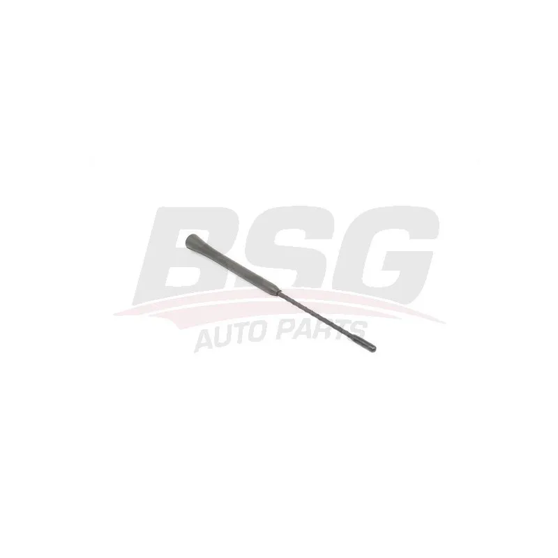 Antenne BSG BSG 90-922-062