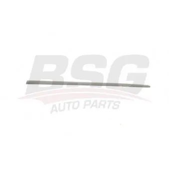 Baguette et bande protectrice, porte BSG BSG 90-924-046