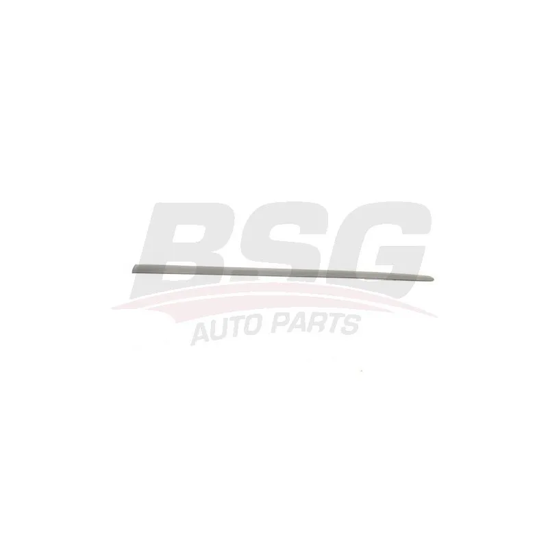 Baguette et bande protectrice, porte BSG BSG 90-924-046