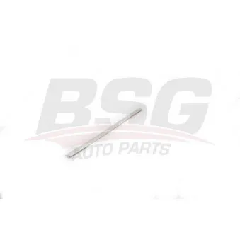 Baguette et bande protectrice, porte BSG BSG 90-924-048