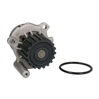 Pompe à eau THERMOTEC D1A024TT