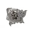 Pompe à eau THERMOTEC D1R023TT - Visuel 2