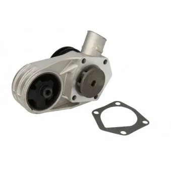 Pompe à eau THERMOTEC D1S002TT