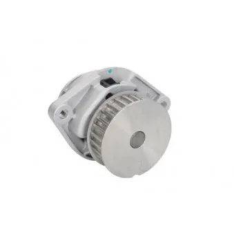 Pompe à eau THERMOTEC D1W019TT