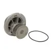 Pompe à eau THERMOTEC D1X041TT - Visuel 2