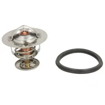 Thermostat d'eau THERMOTEC D24001TT