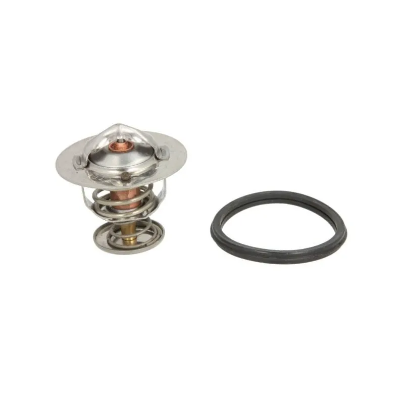 Thermostat d'eau THERMOTEC D24001TT