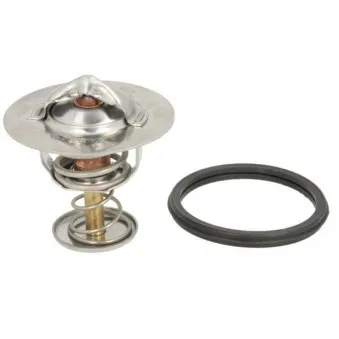 Thermostat d'eau THERMOTEC D25001TT