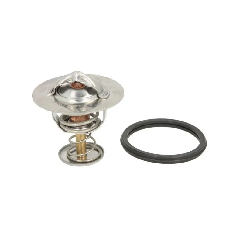 Thermostat d'eau THERMOTEC D25001TT