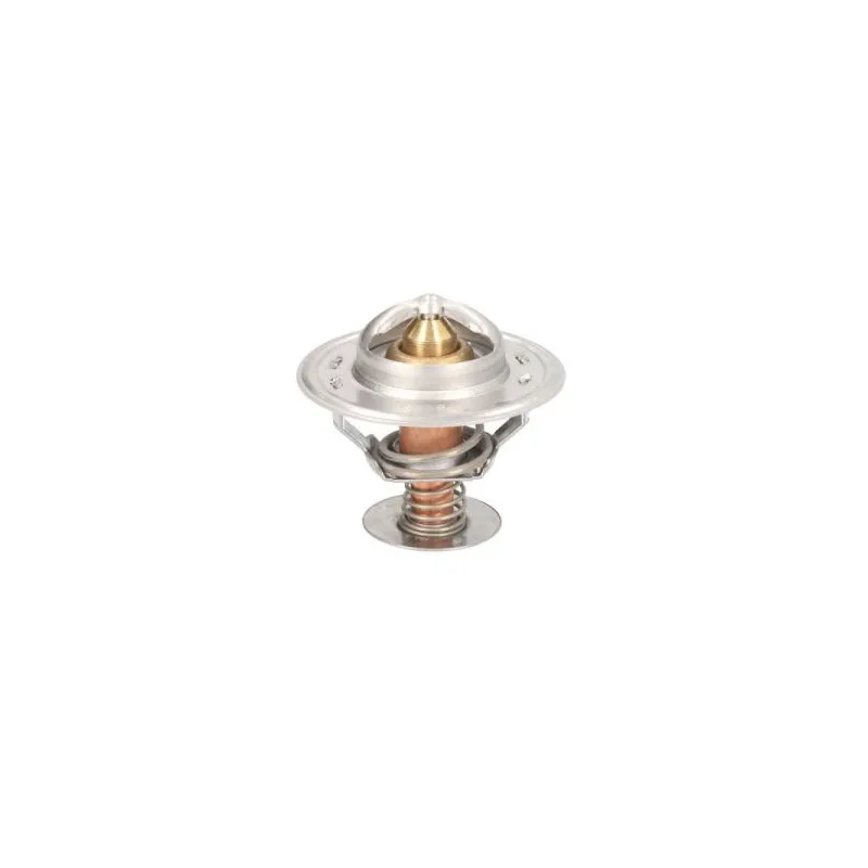 Thermostat d'eau THERMOTEC D2CA003TT