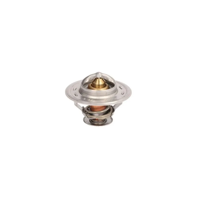 Thermostat d'eau THERMOTEC D2CA004TT