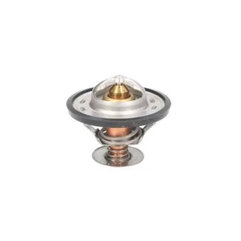 Thermostat d'eau THERMOTEC D2CA005TT