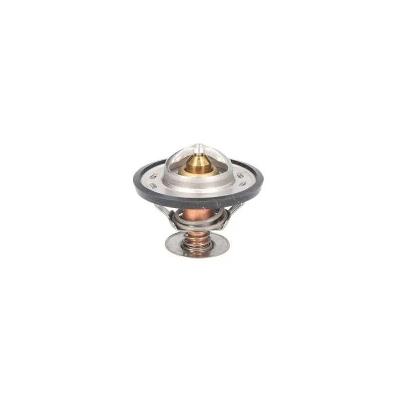 Thermostat d'eau THERMOTEC D2CA005TT