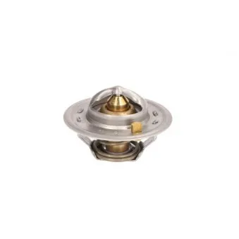 Thermostat d'eau THERMOTEC D2CA008TT