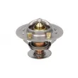 Thermostat d'eau THERMOTEC D2CU004TT - Visuel 1