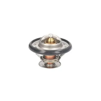 Thermostat d'eau THERMOTEC D2DE001TT