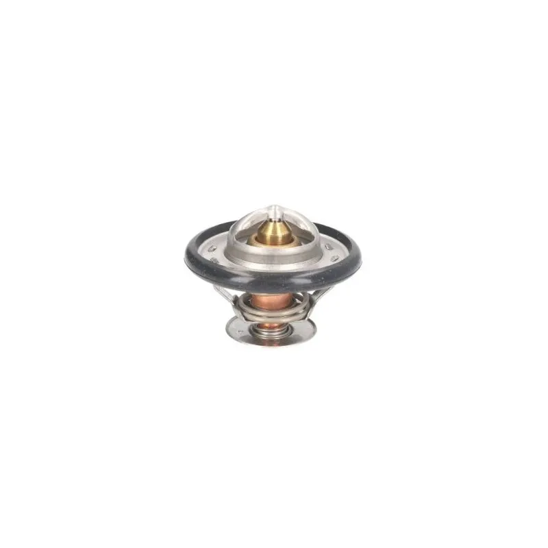 Thermostat d'eau THERMOTEC D2DE001TT