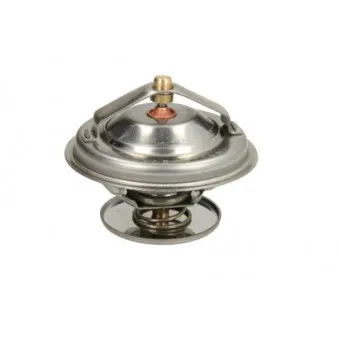 Thermostat d'eau THERMOTEC D2FE006TT