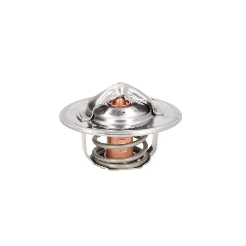 Thermostat d'eau THERMOTEC D2FO001TT