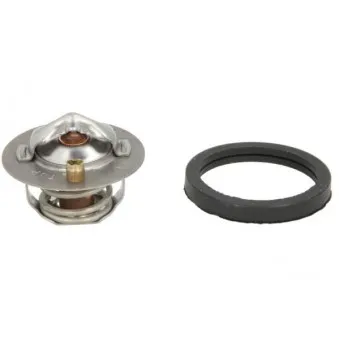 Thermostat d'eau THERMOTEC D2G005TT