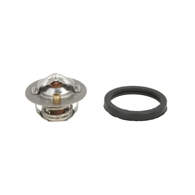 Thermostat d'eau THERMOTEC D2G005TT