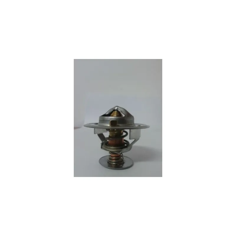 Thermostat d'eau THERMOTEC D2JD001TT