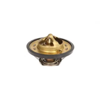 Thermostat d'eau THERMOTEC D2JD003TT