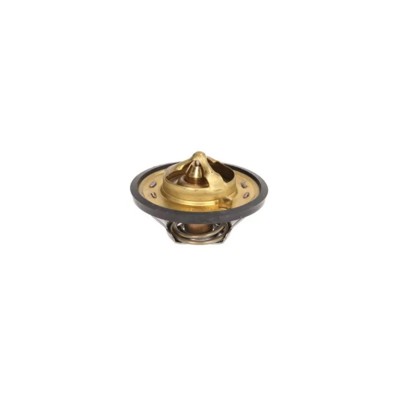 Thermostat d'eau THERMOTEC D2JD003TT