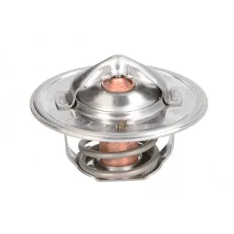 Thermostat d'eau THERMOTEC D2JD004TT