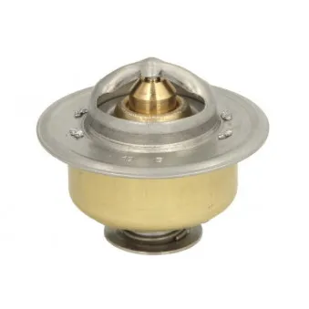Thermostat d'eau THERMOTEC D2JD007TT