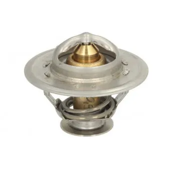 Thermostat d'eau THERMOTEC D2JD008TT