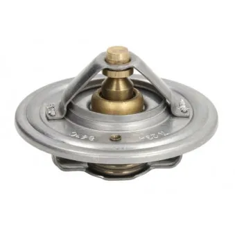 Thermostat d'eau THERMOTEC D2MF002TT