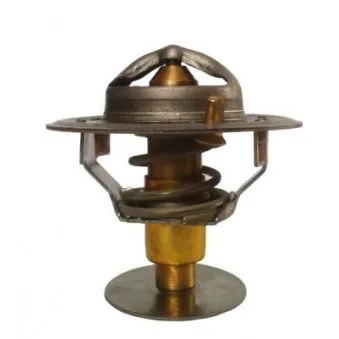 Thermostat d'eau THERMOTEC D2PE003TT