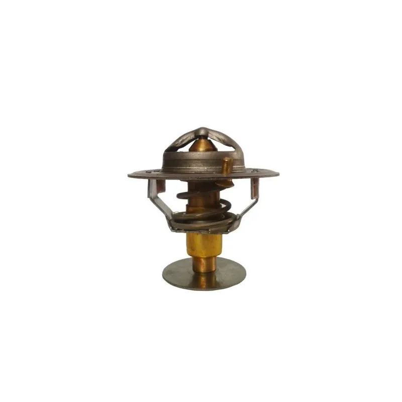 Thermostat d'eau THERMOTEC D2PE003TT