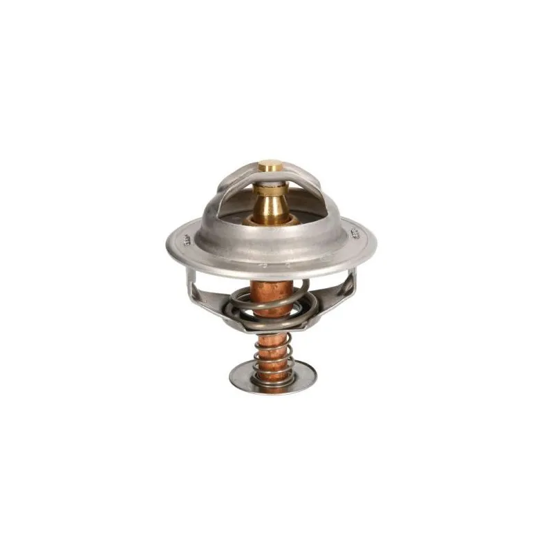 Thermostat d'eau THERMOTEC D2RV006TT