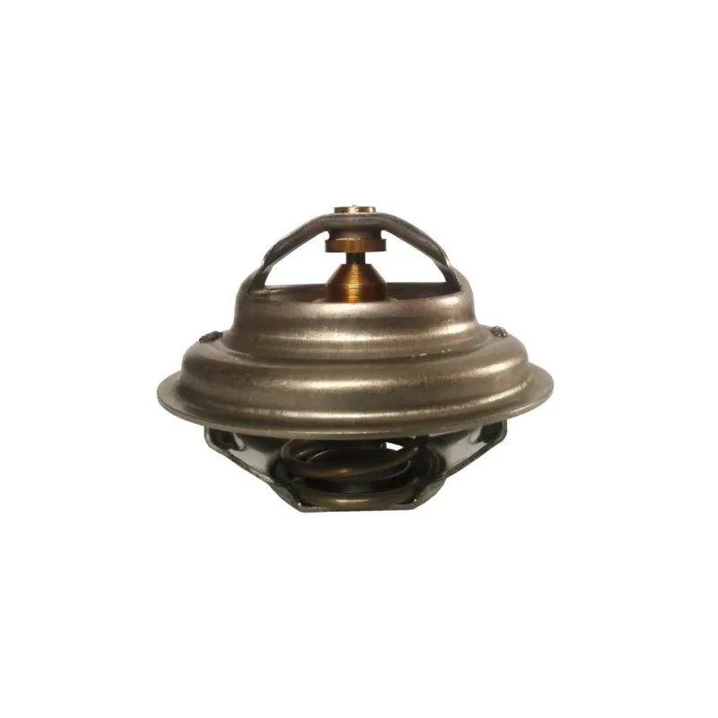 Thermostat d'eau THERMOTEC D2UR005TT