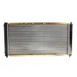Radiateur, refroidissement du moteur THERMOTEC D73006TT - Visuel 2