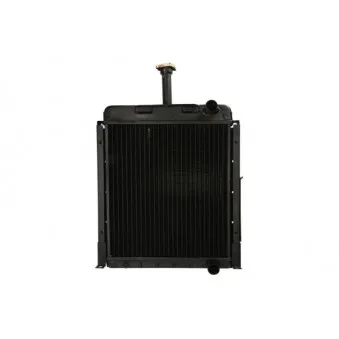Radiateur, refroidissement du moteur THERMOTEC D7AG004TT