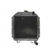 Radiateur, refroidissement du moteur THERMOTEC D7AG006TT - Visuel 1