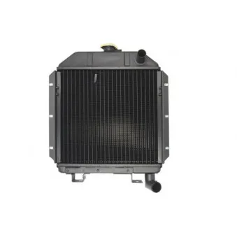 Radiateur, refroidissement du moteur THERMOTEC D7AG006TT