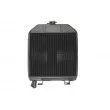 Radiateur, refroidissement du moteur THERMOTEC D7AG006TT - Visuel 2