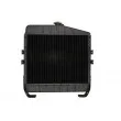 Radiateur, refroidissement du moteur THERMOTEC D7AG012TT - Visuel 2